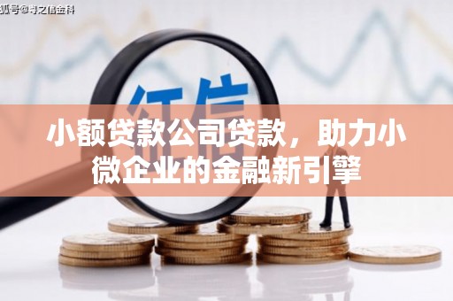 阿图什小额贷款公司贷款，助力小微企业的金融新引擎