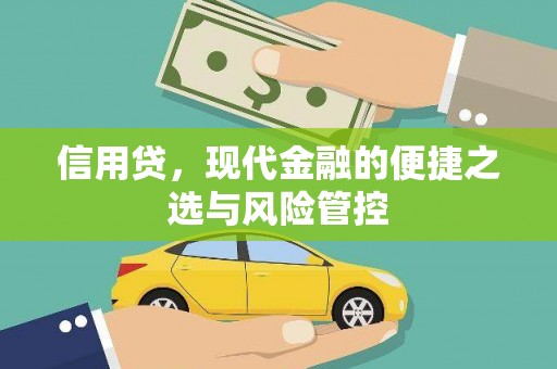 合山信用贷，现代金融的便捷之选与风险管控