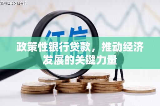 新郑政策性银行贷款，推动经济发展的关键力量