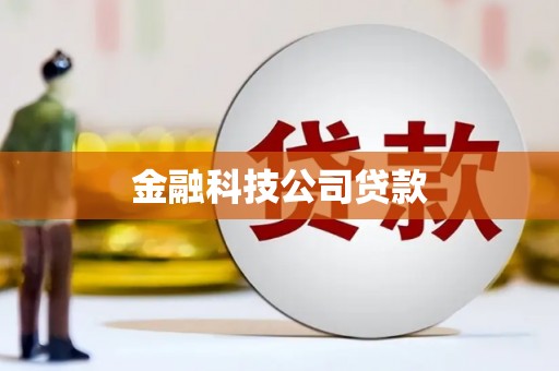 于田金融科技公司贷款