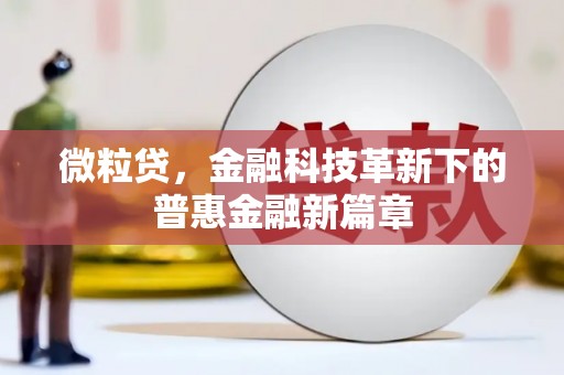 滨海微粒贷，金融科技革新下的普惠金融新篇章
