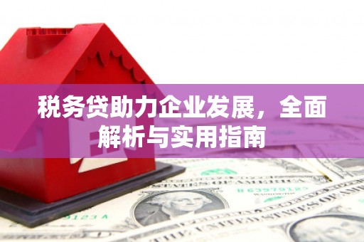 枋寮税务贷助力企业发展，全面解析与实用指南
