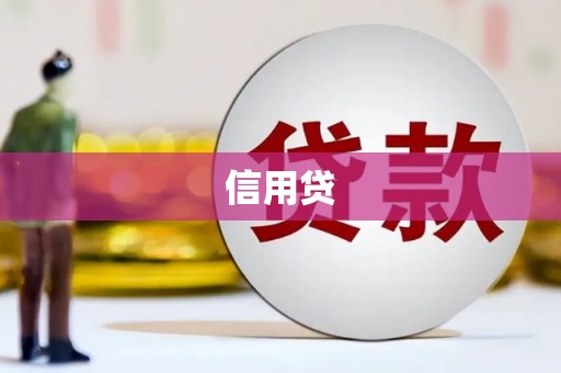 洞口信用贷