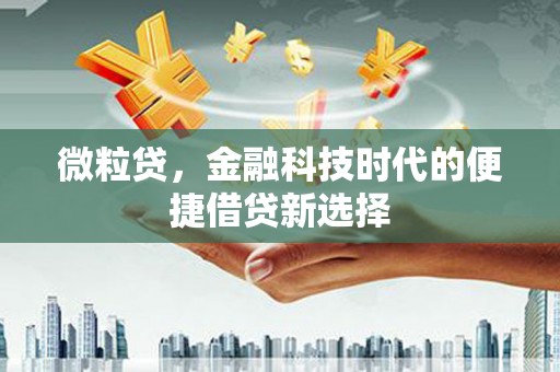 东丽微粒贷，金融科技时代的便捷借贷新选择