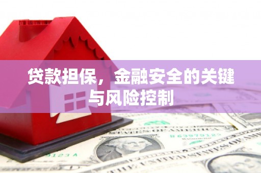 儋州贷款担保，金融安全的关键与风险控制