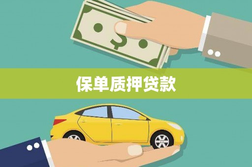 南安保单质押贷款