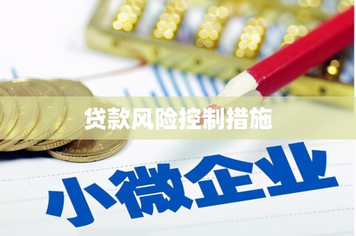 巴青贷款风险控制措施