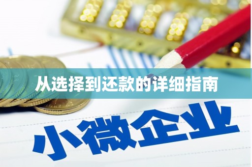 彝良从选择到还款的详细指南