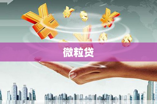 索县微粒贷