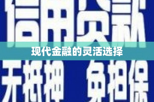 成县现代金融的灵活选择