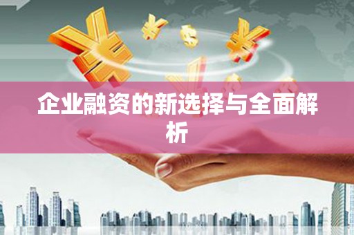 吴忠企业融资的新选择与全面解析