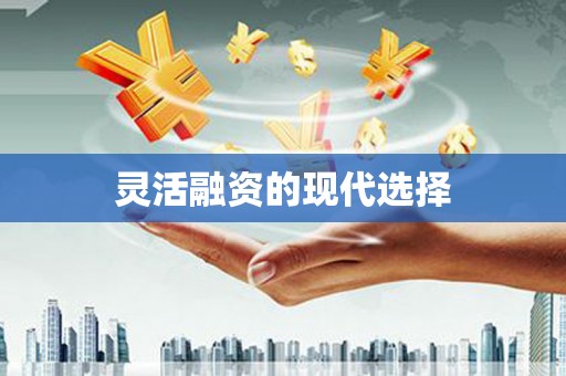 葵青灵活融资的现代选择