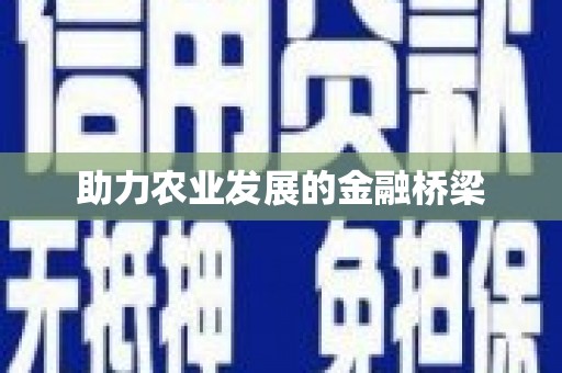 阳山助力农业发展的金融桥梁
