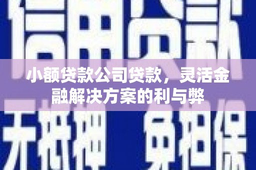 武进小额贷款公司贷款，灵活金融解决方案的利与弊
