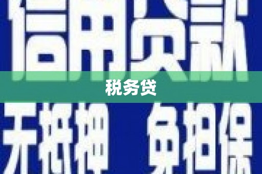 安定税务贷